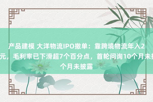 产品建模 大洋物流IPO撤单：靠跨境物流年入24亿元，毛利率已下滑超7个百分点，首轮问询10个月未披露