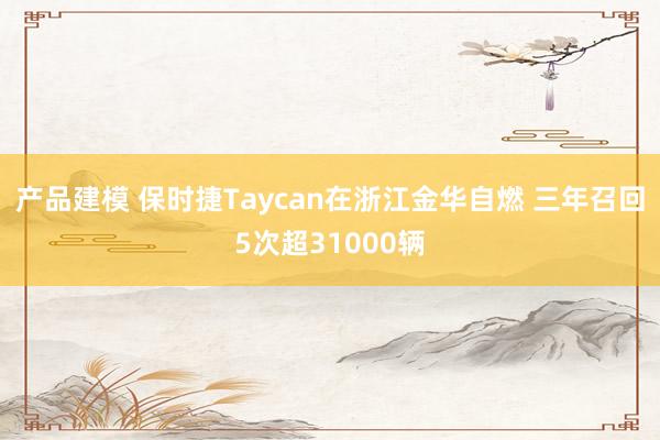 产品建模 保时捷Taycan在浙江金华自燃 三年召回5次超31000辆