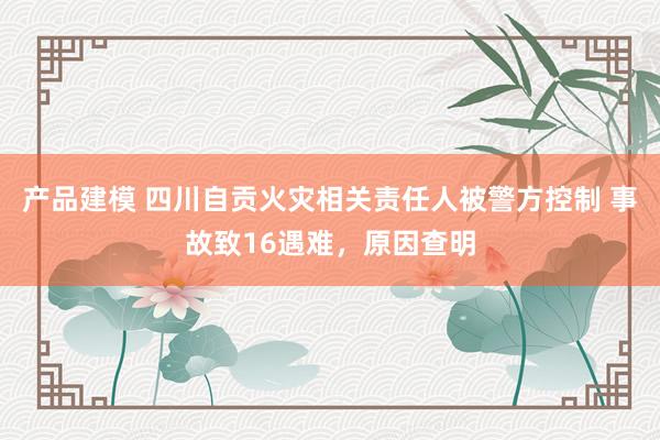 产品建模 四川自贡火灾相关责任人被警方控制 事故致16遇难，原因查明