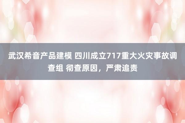 武汉希音产品建模 四川成立717重大火灾事故调查组 彻查原因，严肃追责