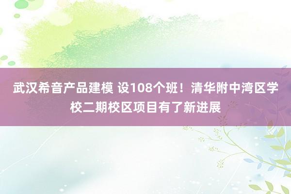 武汉希音产品建模 设108个班！清华附中湾区学校二期校区项目有了新进展